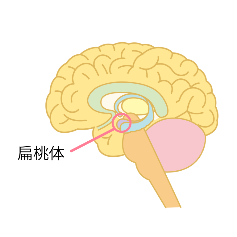 425e7313f237184d46e2cc92b8aa5b33-1746796425.png